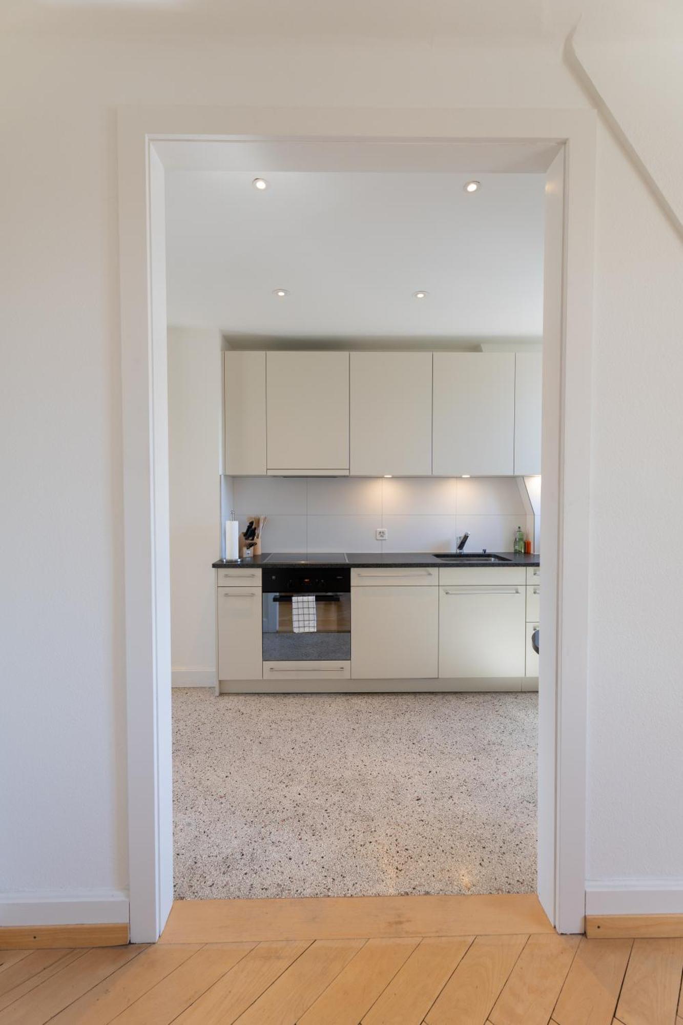 Charmante Altbauwohnung Am Rhein Basel Dış mekan fotoğraf